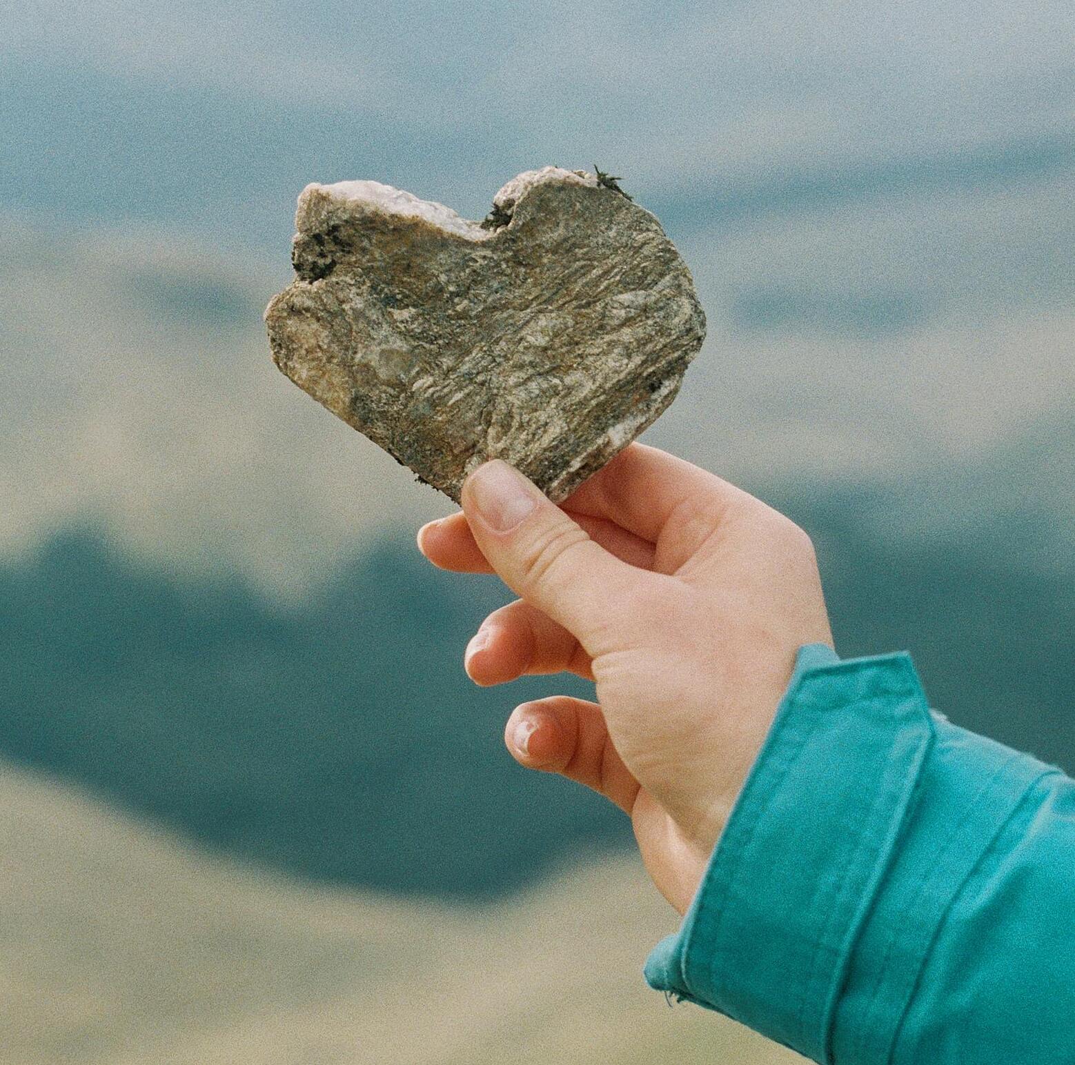 Heart